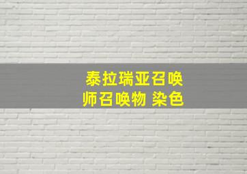 泰拉瑞亚召唤师召唤物 染色